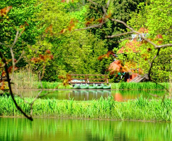 Antistress Team Building